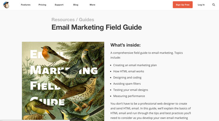 Email Marketing Field Guide